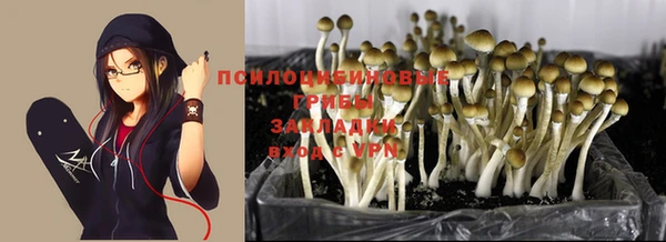 скорость Белокуриха