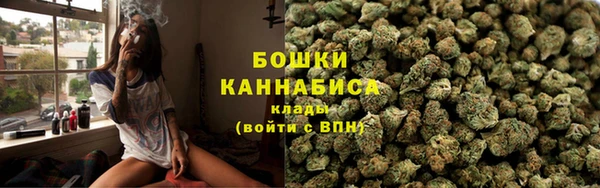 ГАЛЛЮЦИНОГЕННЫЕ ГРИБЫ Белоозёрский