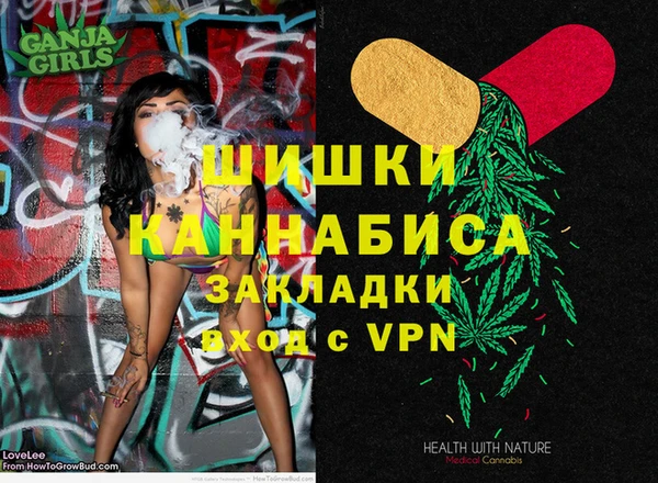 ГАЛЛЮЦИНОГЕННЫЕ ГРИБЫ Белоозёрский
